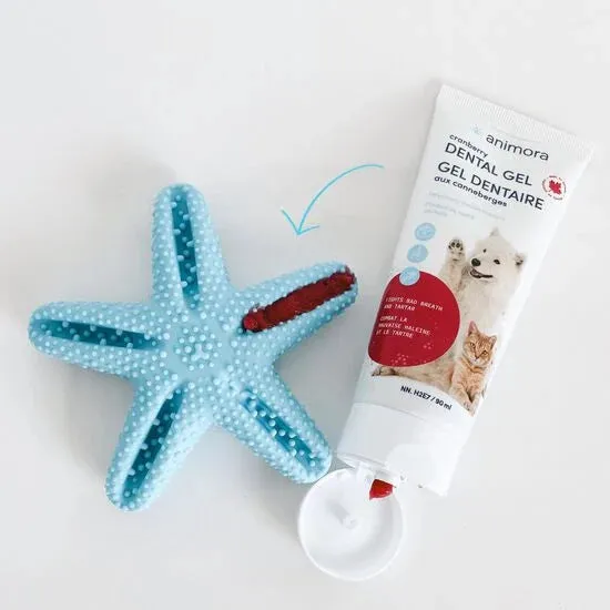 Animora - Dental Star Toy