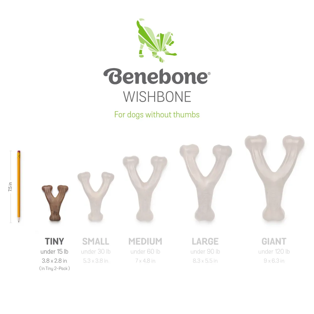 Benebone Bacon Flavored Dental and Wishbone Chew Toys for Dogs