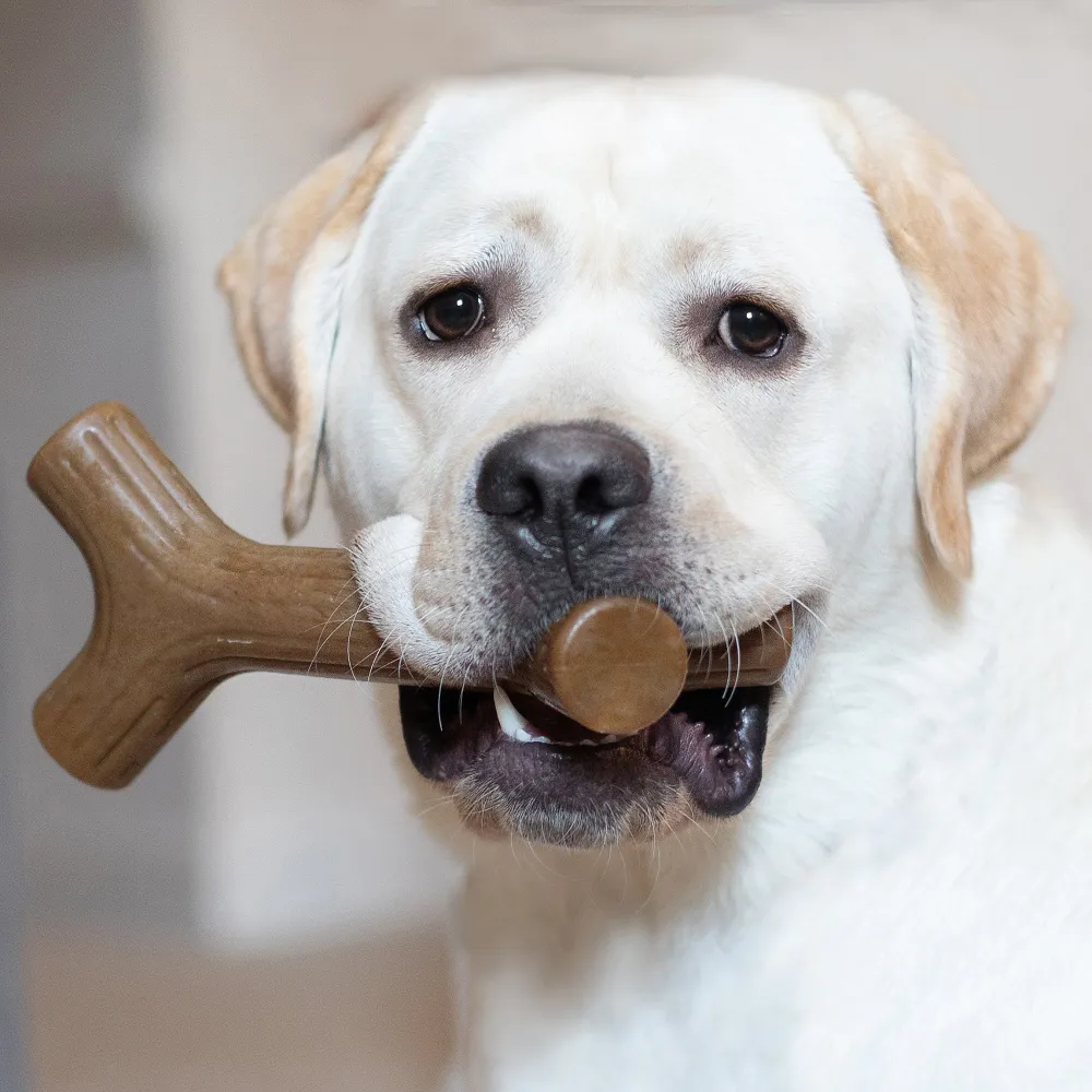 Benebone Maple Wood Flavored Stick Chew Toy for Dogs