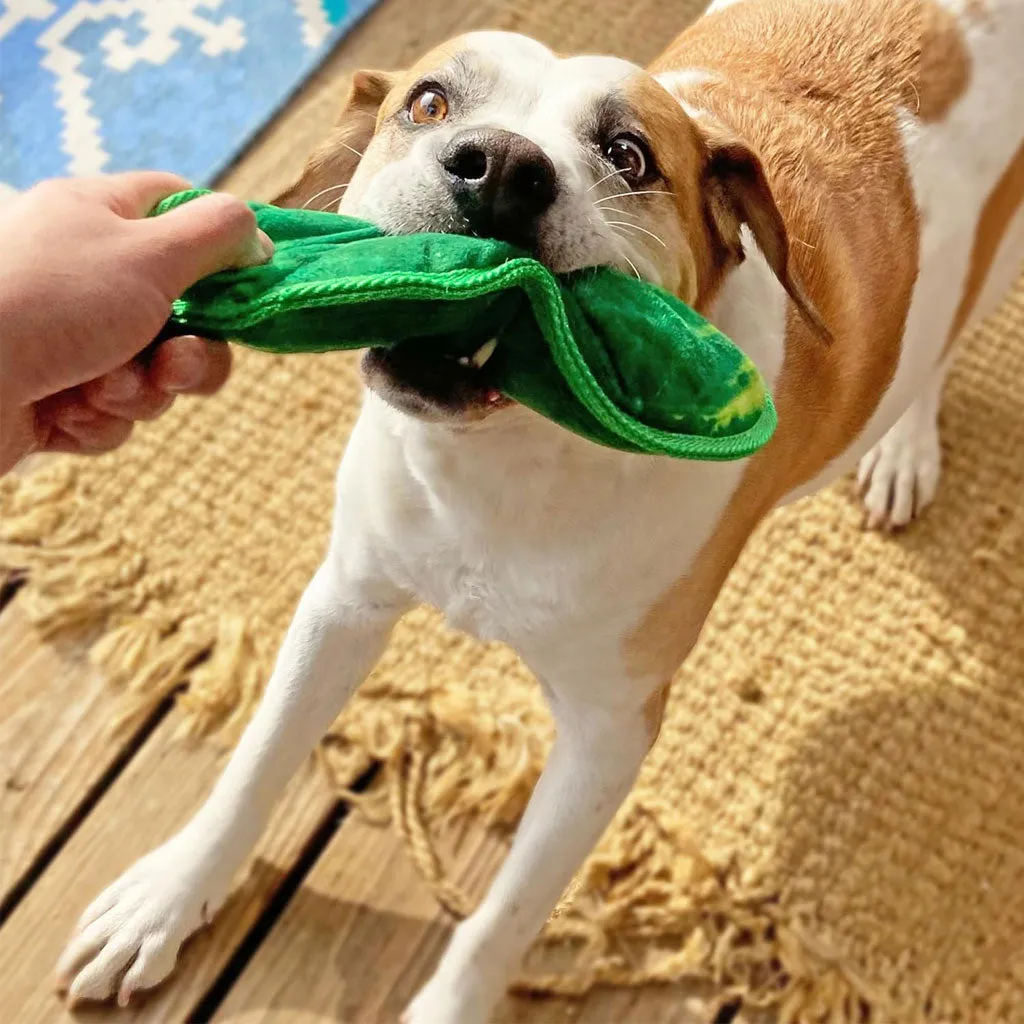 Doggijuana Tuffer Chewer Refillable Juananip Dill Pickle Tough Squeaky Dog Plush Toy, 1 count