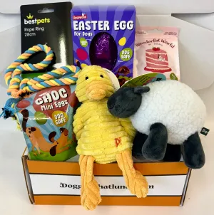 Doggy Easter Box