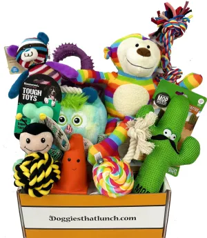 Doggy- Mystery Toy Box