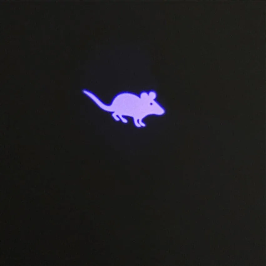 Funny Pet LED Laser Toy