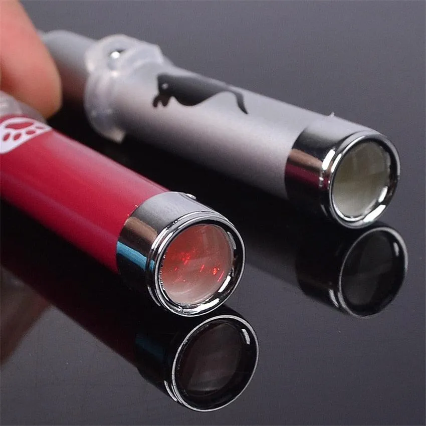 Funny Pet LED Laser Toy
