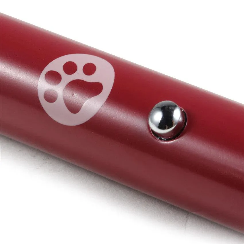 Funny Pet LED Laser Toy