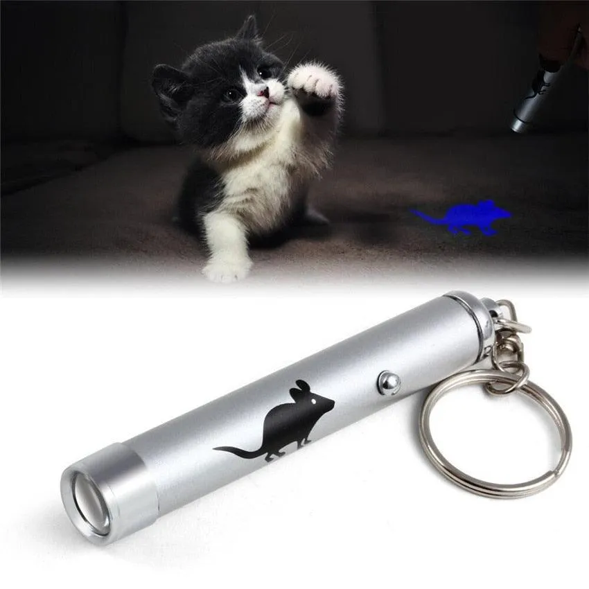 Funny Pet LED Laser Toy