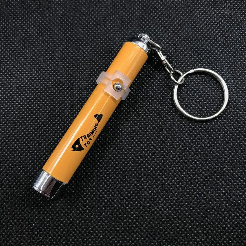 Funny Pet LED Laser Toy