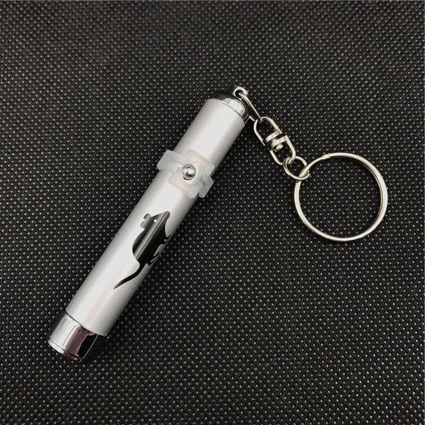 Funny Pet LED Laser Toy