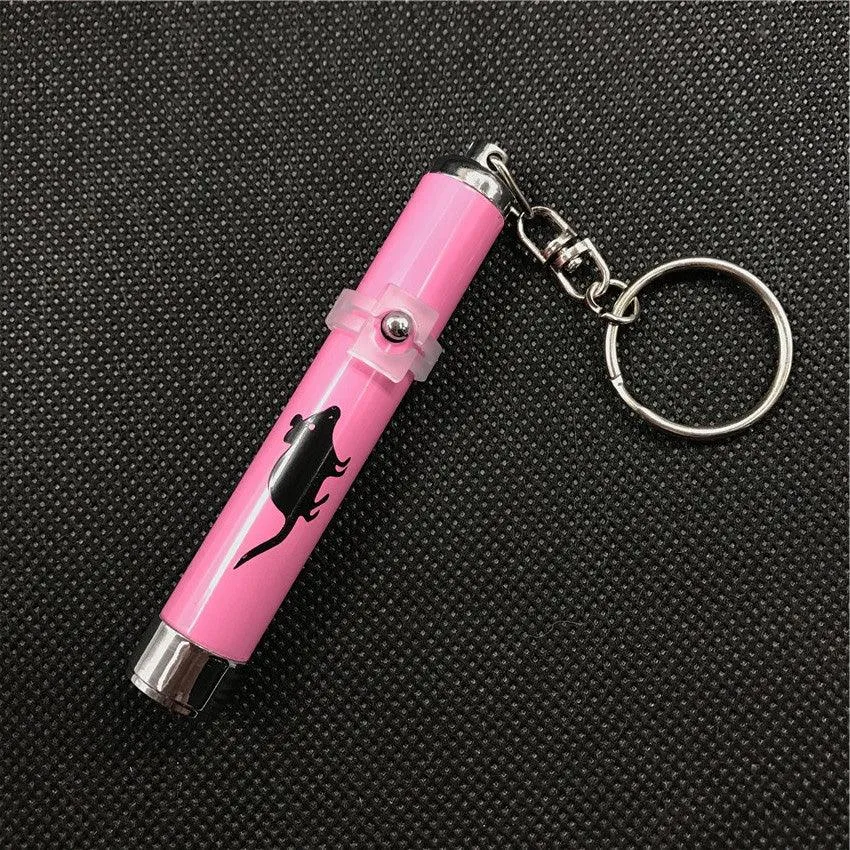Funny Pet LED Laser Toy