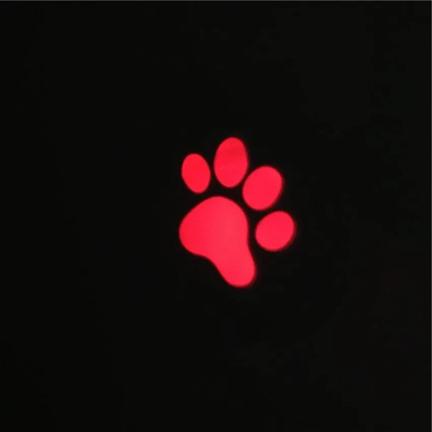 Funny Pet LED Laser Toy