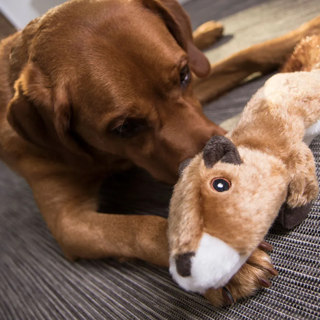 GoDog Flatz Squirrel Squeaky Plush Dog Toy, Large