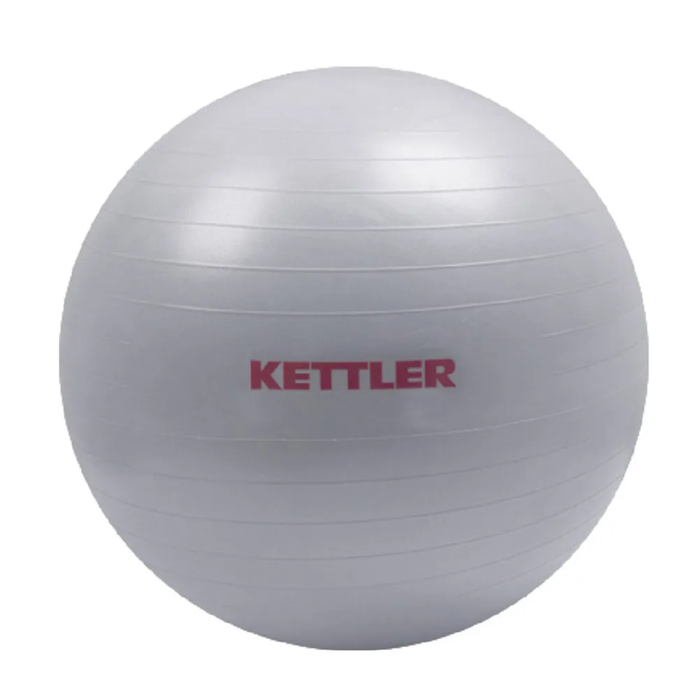 Gym Ball 65CM with Hand Pump