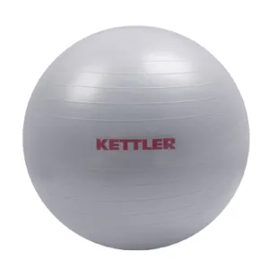 Gym Ball 65CM with Hand Pump