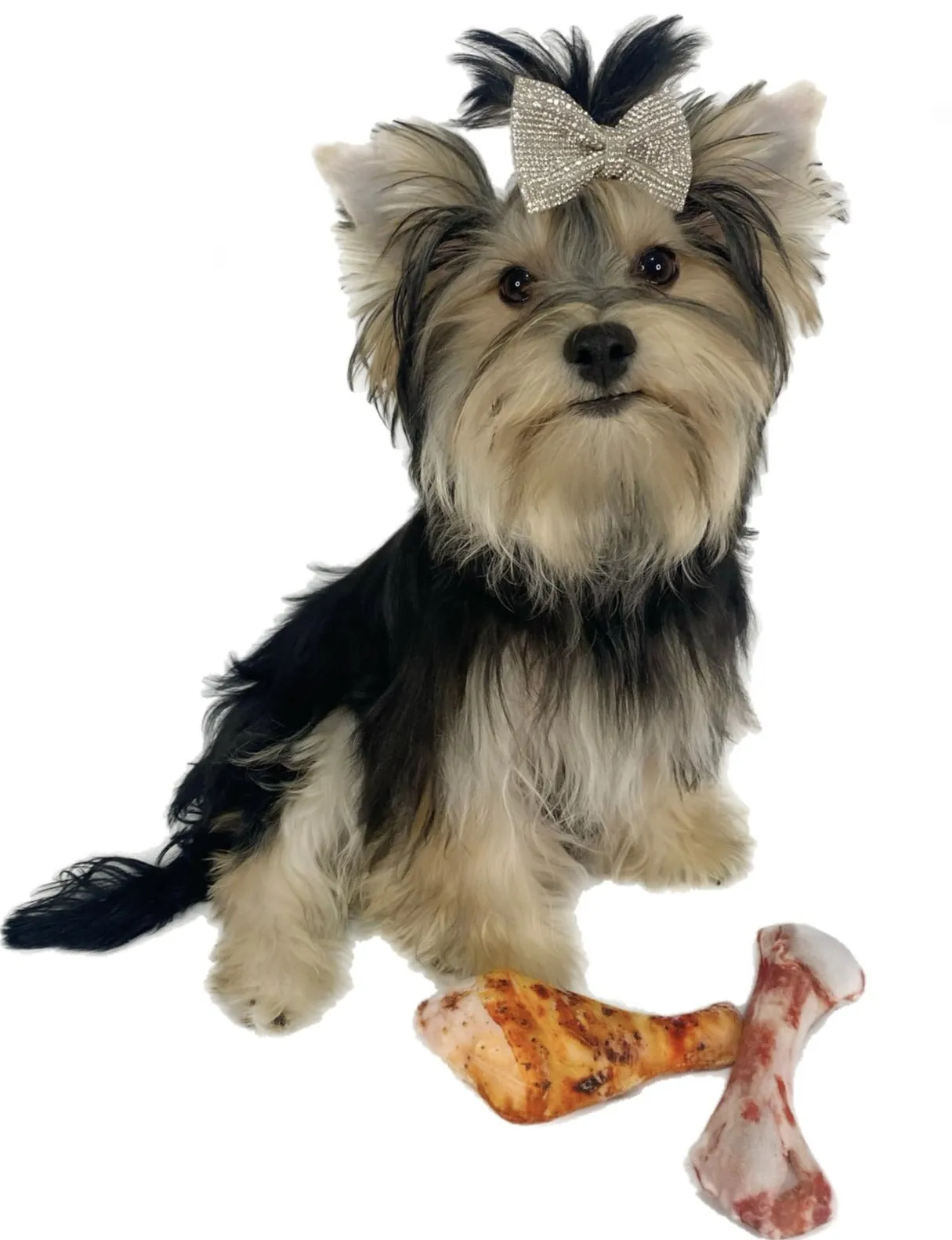 Pawpatu Drumstick Squeaky Plush Toy