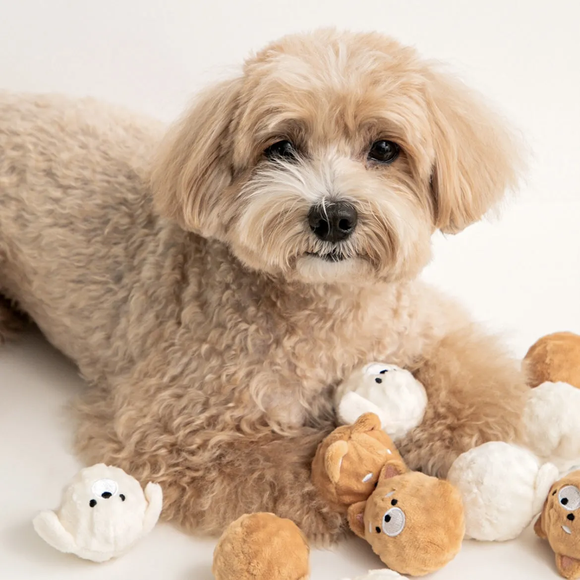Petkin - Cute Puppy Shaped Squeaky Ball Toy Set