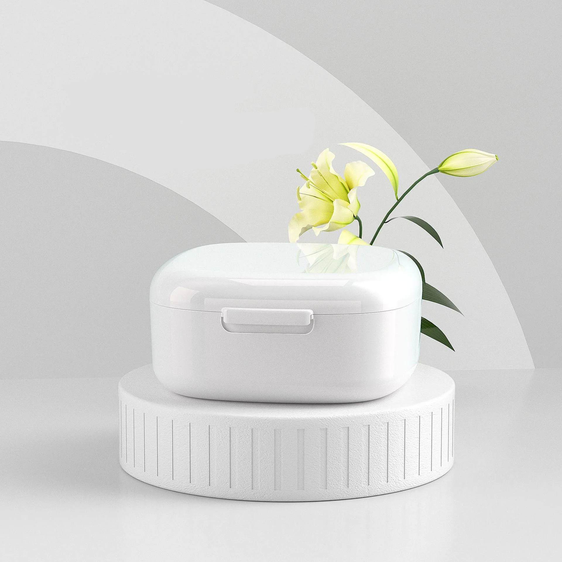 Portable Denture Storage Box