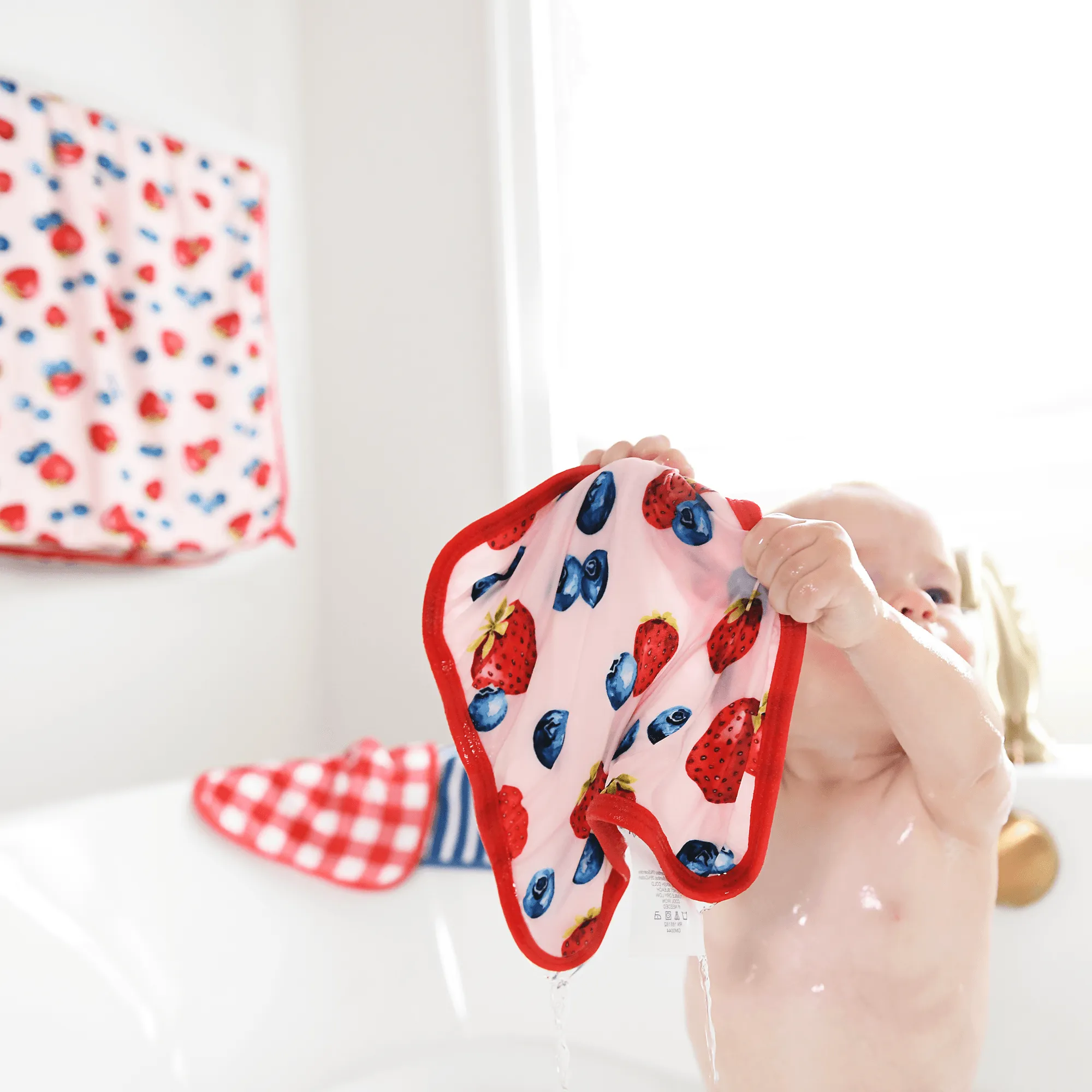 Rosie Berries Plush Wash Cloth Set