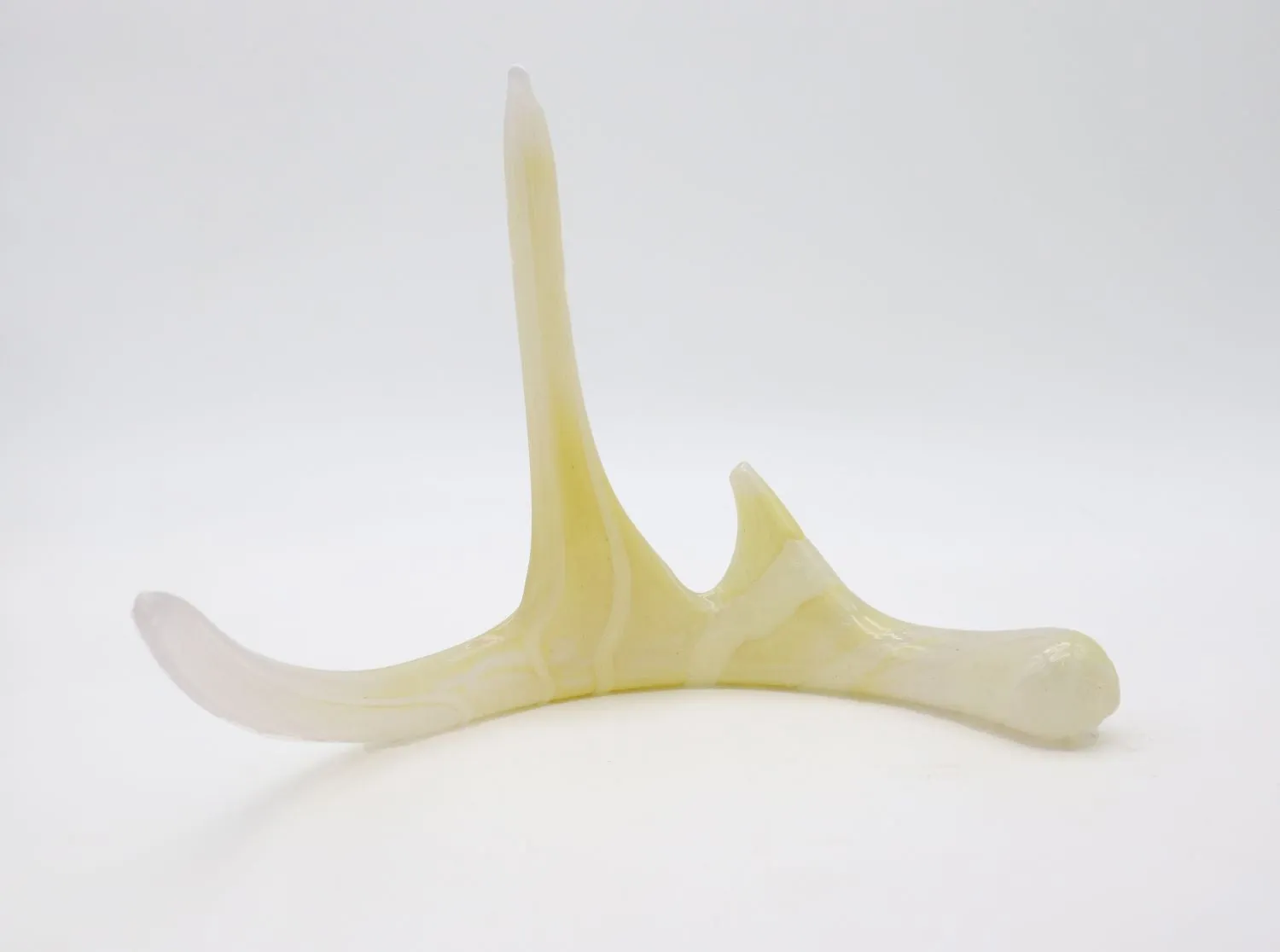 Set of Glass Deer Antlers with Cremation Ash